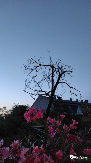 Budapest XIV.ker - Alsórákos