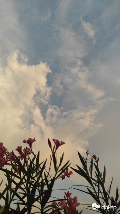 Budapest XIV.ker - Alsórákos