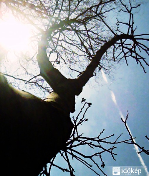 a természet alkotta