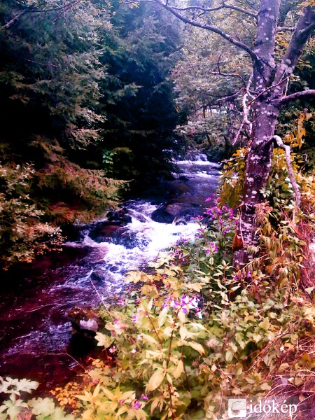 gyönyörű színek...