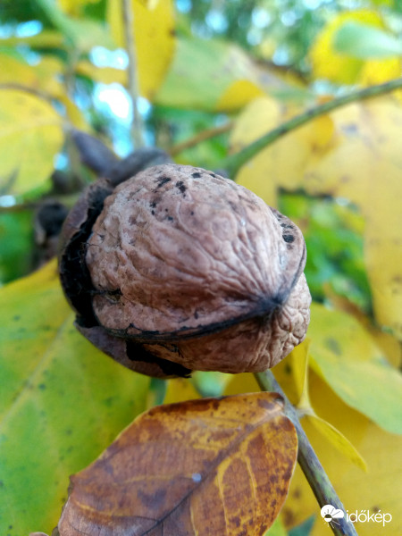 Az utolsók között