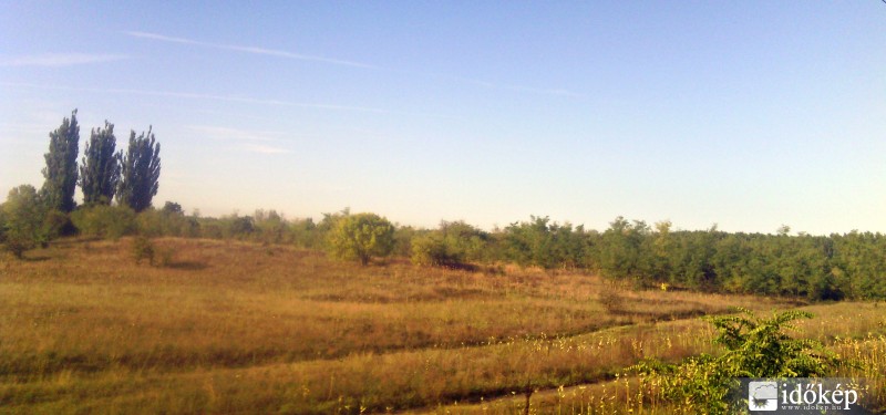 lassan őszbe borulva