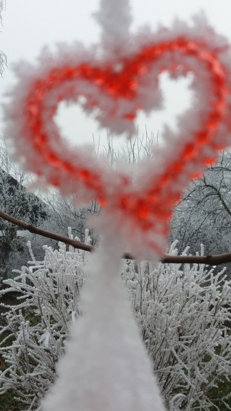 Szélcsengő a deresben