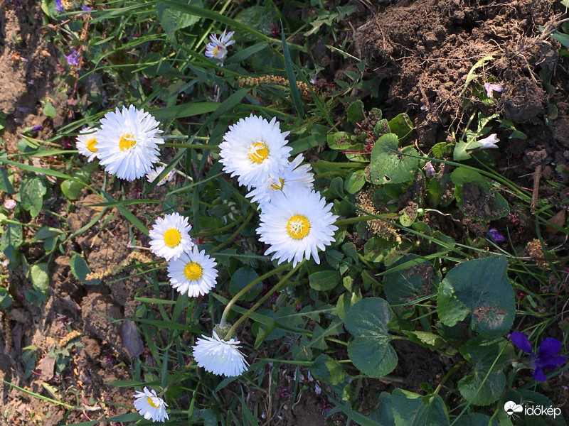 Apró szépségek :)