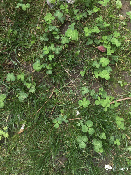 4 levelűek keresésére fel! :)