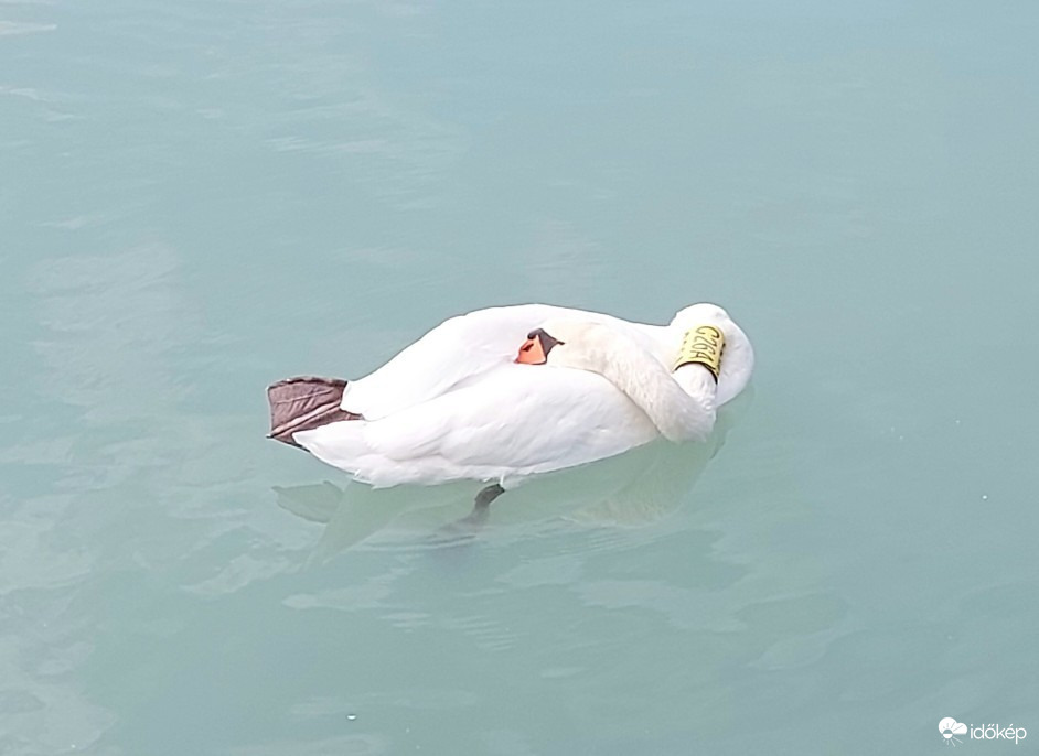 Balatonfüred