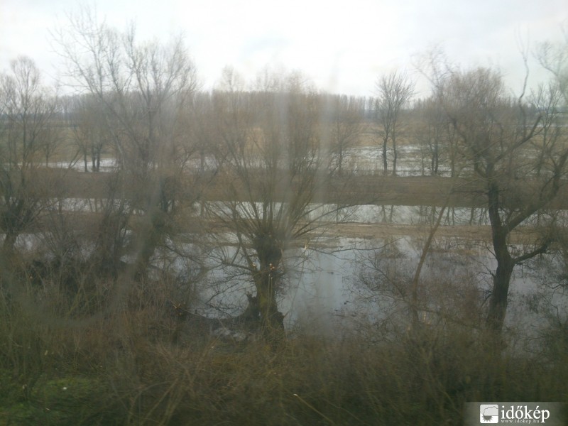 Tisza ártere Rakamaz közelében 2013.04.03.-án