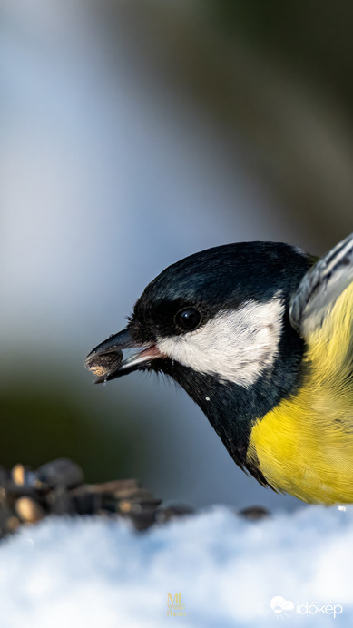 Megállított pillanat