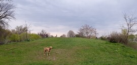Budapest XXI. ker