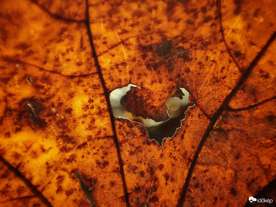 Napos, de széles délután 