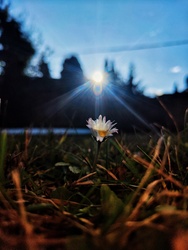 A legszebb ajándék 