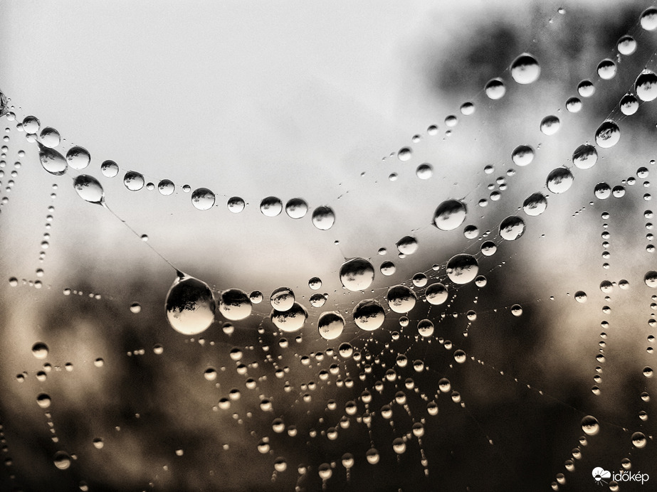 Hozzánk is megérkezett az eső 