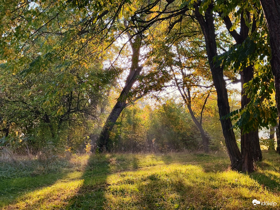Káprázatos őszi reggel