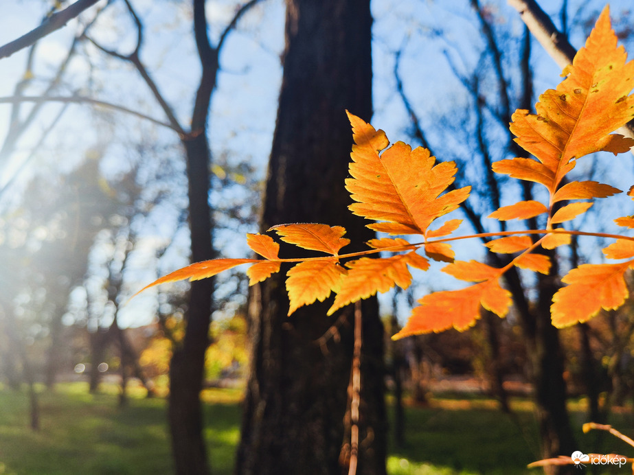Derűs őszi séta 