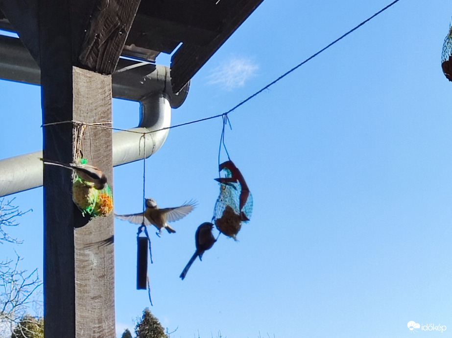 Észlelési fényképek