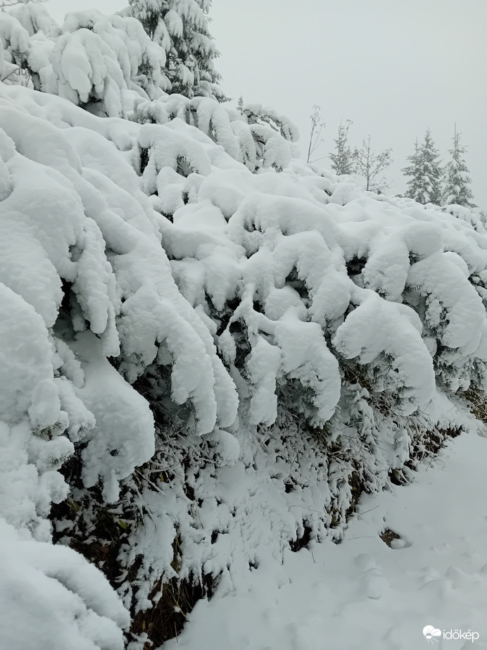 Magas-Tátra Murowaniec ma.