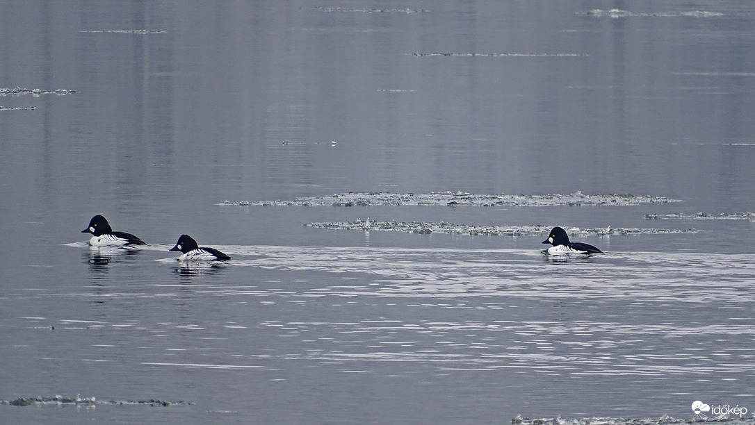 Élet a jeges Dunán