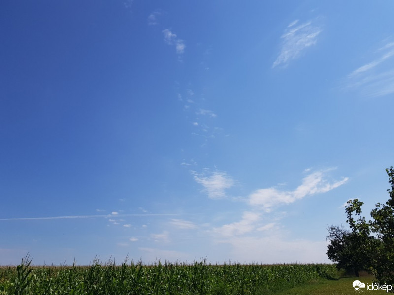 Észlelési fényképek