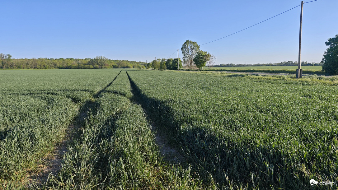 Természet