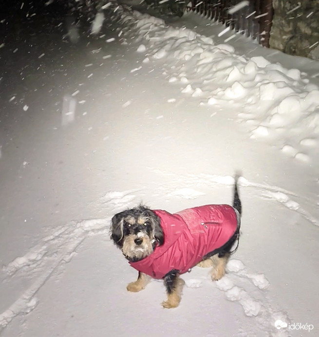 Észlelési fényképek