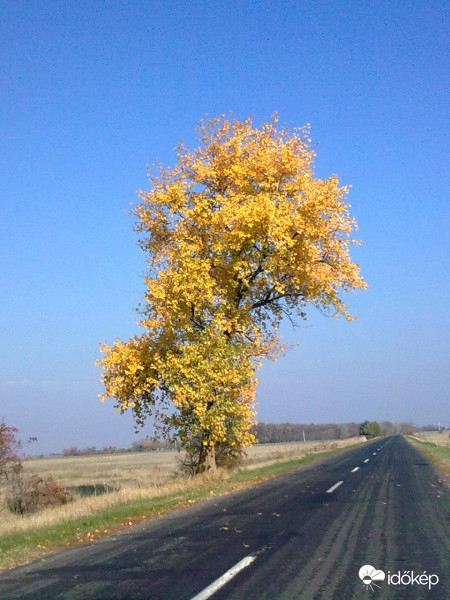 Egyszerűen szép