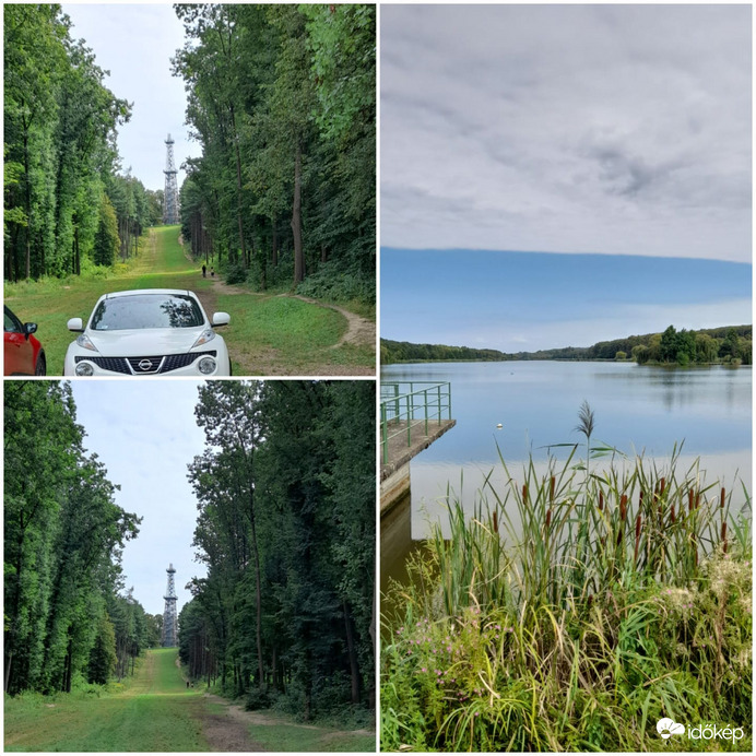 Észlelési fényképek