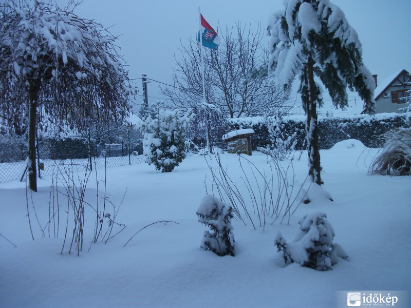 Észlelési fényképek