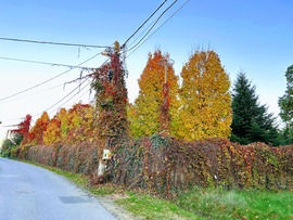 Debrecen-Józsa 2024.10.20.