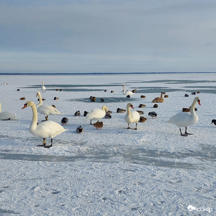 Befagyott Balaton 