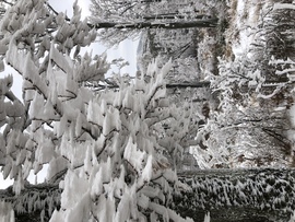 2023.01.26_Gyönyörű zúzmara képződés a Kőszegi-hegyen 650 méter felett. Szélcsend, -3 C fok, 20 cm hó.