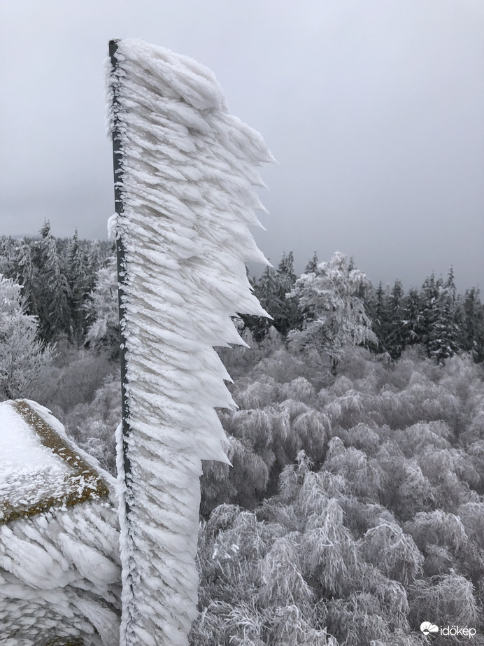 2023.01.26_Gyönyörű zúzmara képződés a Kőszegi-hegyen 650 méter felett. Szélcsend, -3 C fok, 20 cm hó.