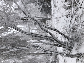 2023.01.26_Gyönyörű zúzmara képződés a Kőszegi-hegyen 650 méter felett. Szélcsend, -3 C fok, 20 cm hó.