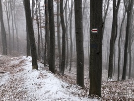 Kőszegi-hegy 2023.11.25.