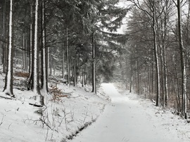 2024.01.07. Az Írott-kőre visszatért a tél! (Havazás, 3-5 cm hó, viharos szél, zúzmarás fák)