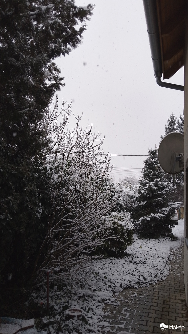 Észlelési fényképek