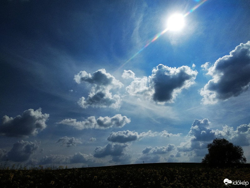 Észlelési fényképek