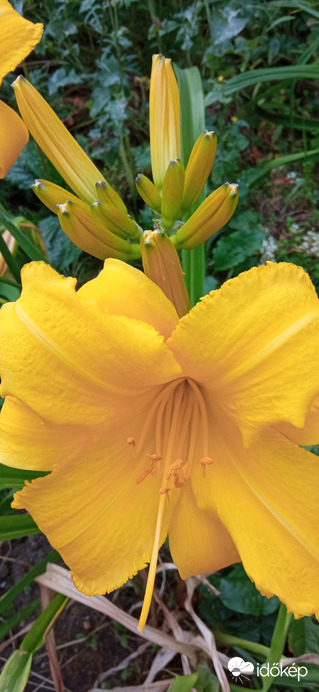 Séta a napsütésben ☺️