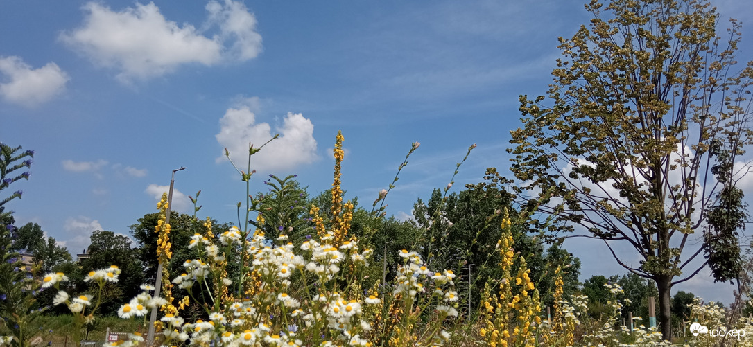 A gáton - Duna part 