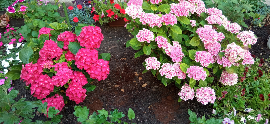 Séta a napsütésben ☺️