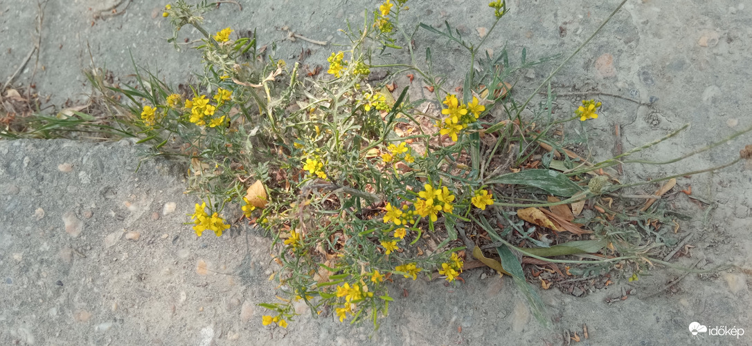 Tavasszal itt víz borította el a partot 