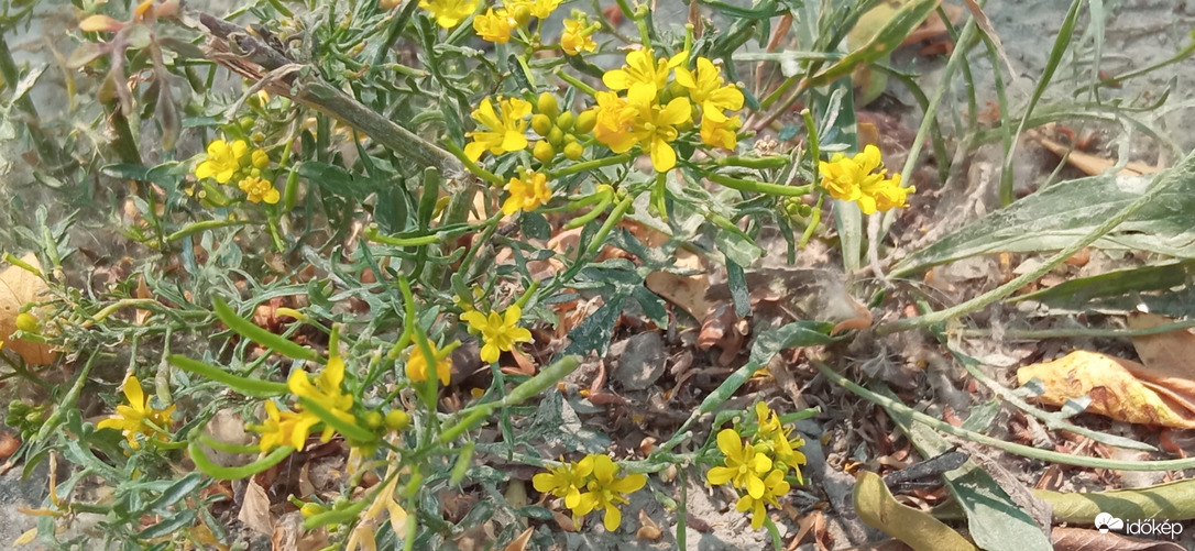 Tavasszal itt víz borította el a partot 