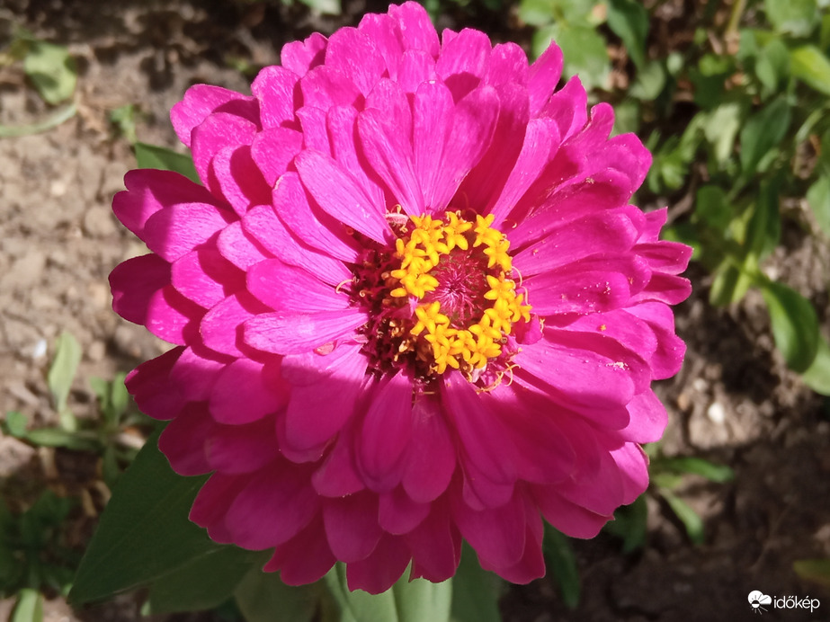 25⁠ºC, a fülledtséget kellemes szél enyhíti 