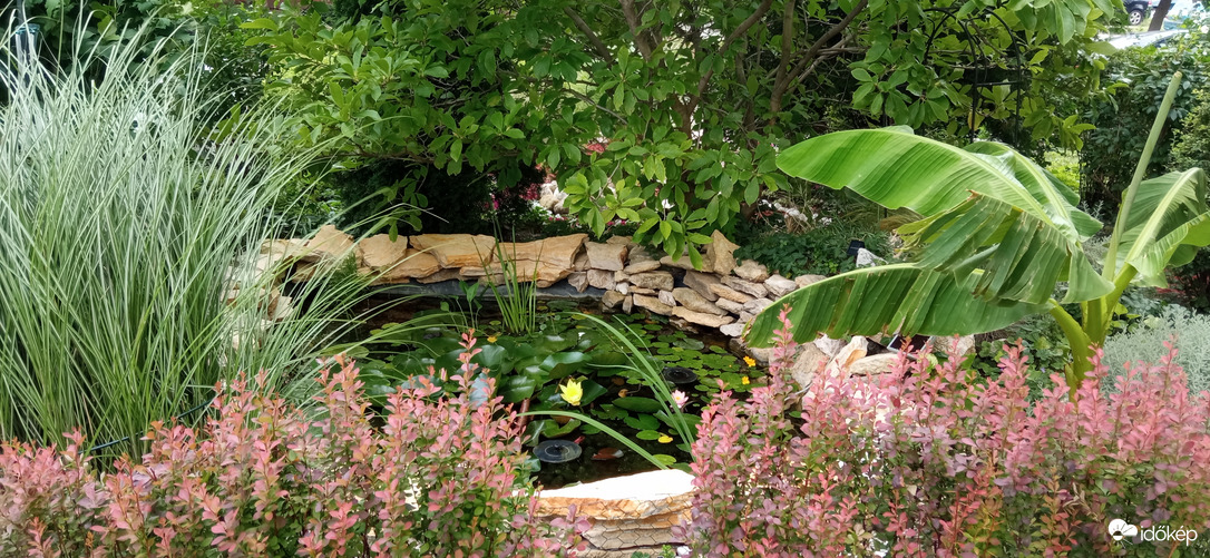 Szép színfoltok a házak között 