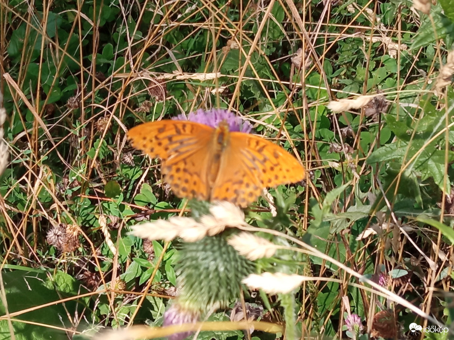 A hegyen csak 30⁠ºC, kellemes szél és jó levegő 