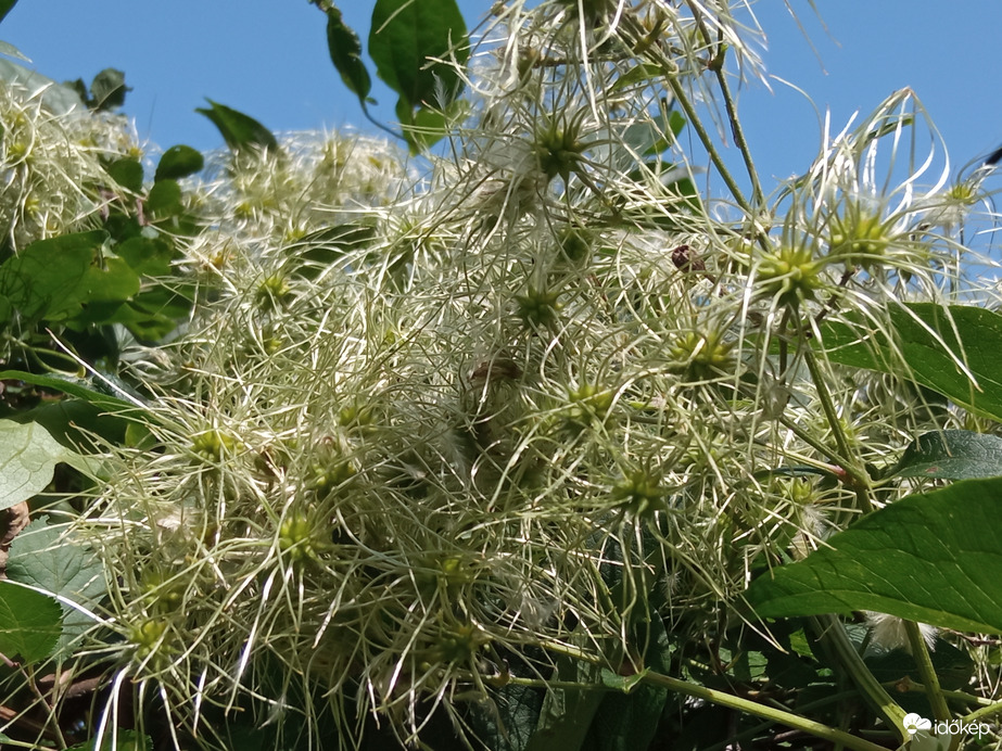 A hegyen csak 30⁠ºC, kellemes szél és jó levegő 
