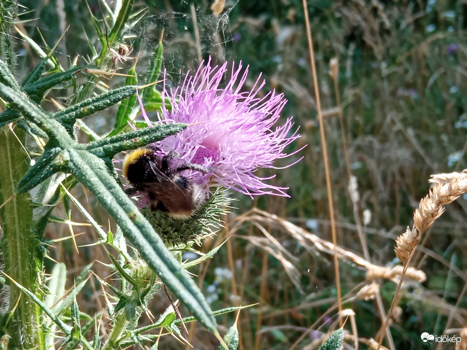 A hegyen csak 30⁠ºC, kellemes szél és jó levegő 