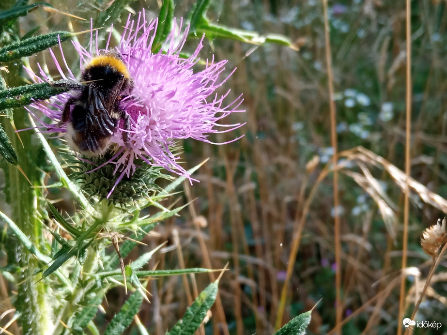 A hegyen csak 30⁠ºC, kellemes szél és jó levegő 