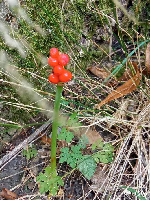 A hegyen csak 30⁠ºC, kellemes szél és jó levegő 