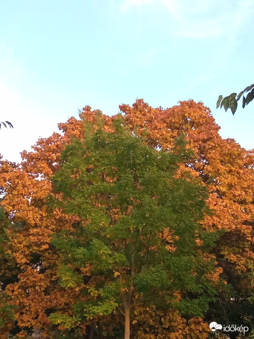 Ősz ☺️