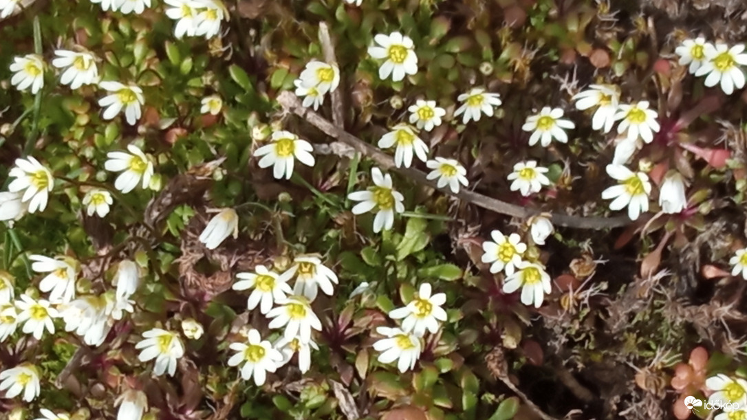 3. Mi lehet a neve? :)